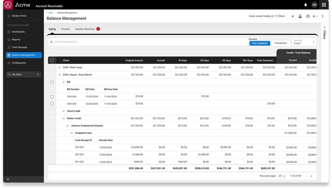 Acme Accounts Receivable Balance Management screen